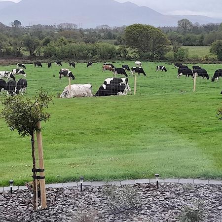 Inch View Lodge Milltown  Buitenkant foto