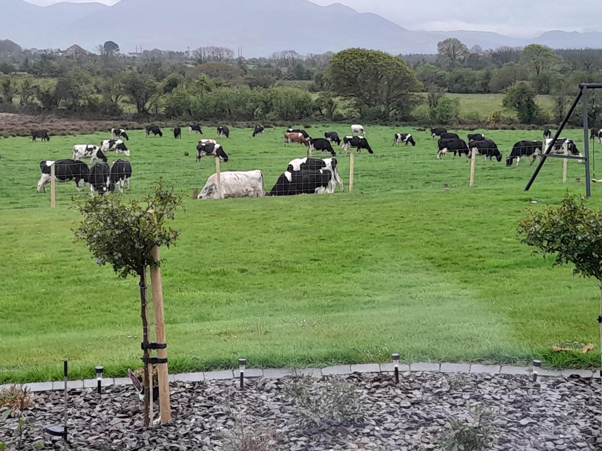 Inch View Lodge Milltown  Buitenkant foto
